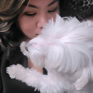 Meet your Posher, Cristina Chaveli